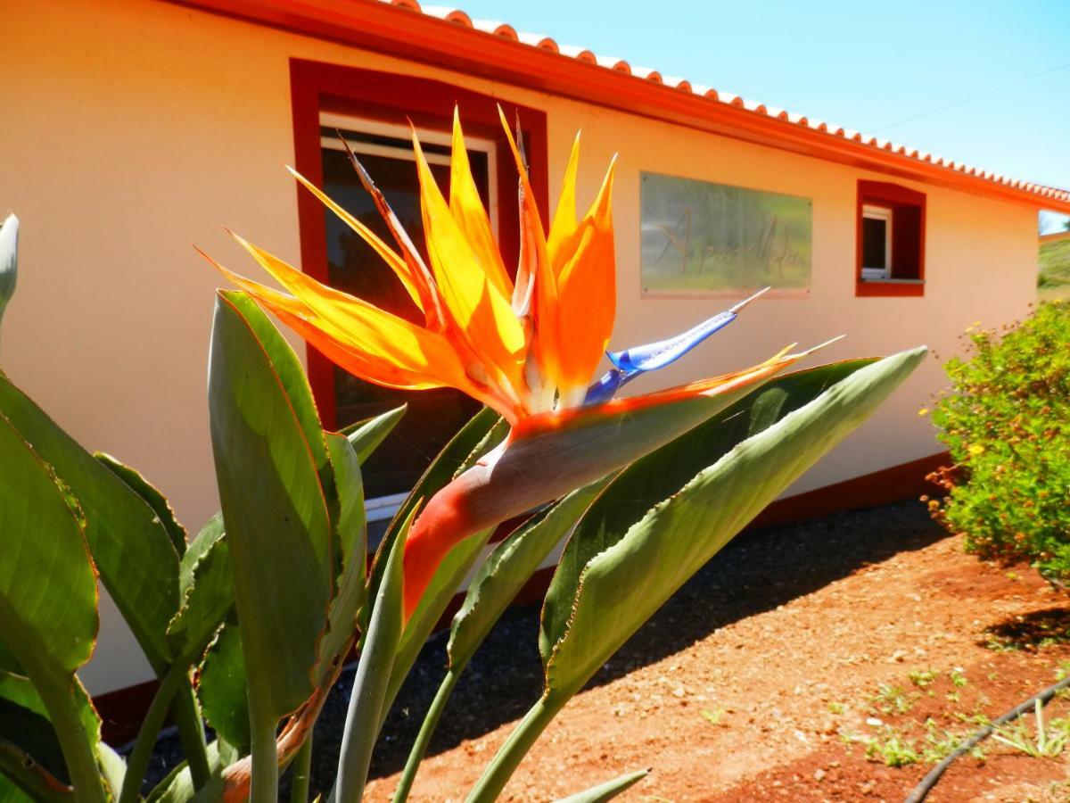 Au Petit Madere Villa Prazeres Bagian luar foto
